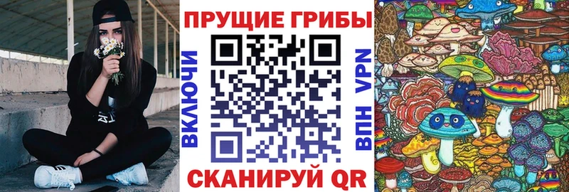 блэк спрут ONION  Николаевск  Псилоцибиновые грибы мицелий  купить закладку 